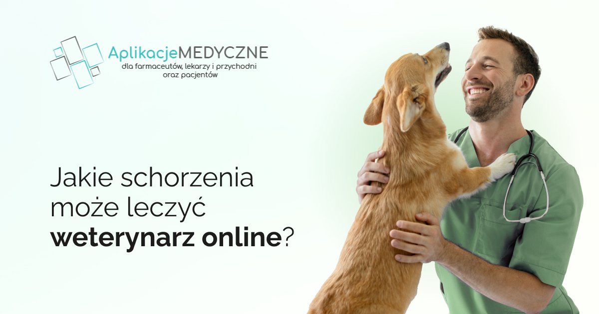 Jakie schorzenia może leczyć weterynarz online?